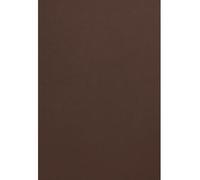 Netuno 10x carton de couleur marron A4 210 x 297mm 300g Malmero Tourbe papier cartonné couleur carton de bricolage carton pour invitations travaux manuels décoration carton imprimante scrapbooking