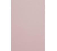 Netuno 10x carton de couleur rose clair A4 210 x 297mm 300g Malmero Rose Antique papier cartonné couleur carton de bricolage carton pour travaux manuels décoration carton imprimante scrapbooking