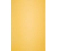Netuno 10x carton décoratif jaune soleil A4 210x297mm 300g Keaykolour Indian Yellow papier écologique pour cartes de voeux art et artisanat invitations décoration bricolage loisirs créatifs brochures