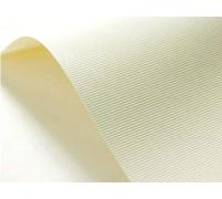 Netuno 10x carton gaufré crème à nervures A3 297 x 420 mm 246g Elfenbein papier cartonné embossé papier texturé carton élégant pour cartes d'invitation cartes de visite diplômes bricolage mariage