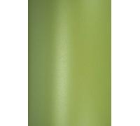 Netuno 10x carton vert clair nacré A4 297 x 210 mm 250g Majestic Satin Lime papier cartonné perlé carton de bricolage papier brillant carton décoratif pour invitations cartes de vœux cartes de menu