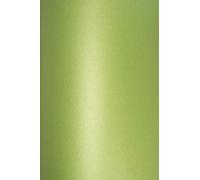 Netuno 10x carton vert nacré A4 210 x 297 mm 290g Cocktail Mojito papier cartonné brillant effet métallisé carton perlé pour mariage DIY cartes de vœux billets marque-places décoration