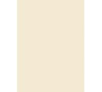 Netuno 10x papier cartonné écru A3 297 x 420 mm 160g Aster Color Vanilla papier naturel élégant carton coloré imprimable pour scrapbooking brochures cartes de visite invitations cartes de vœux