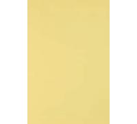 Netuno 10x papier cartonné jaune clair A5 148 x 210 mm 250g Burano Giallo carton de couleur papier cartonné imprimable pour bricolage cartes d’invitation cartes de vœux marque-places menus