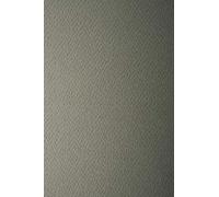Netuno 10x papier couleur gris A3 297x420mm Prisma Piombo 220g papier cartonné gaufré une face papier décoratif pour imprimantes décoration scrapbooking invitations bricolage cartes de vœux