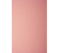 Netuno 10x papier couleur saumon A4 210x297mm Prisma Salmone 220g papier cartonné gaufré une face papier décoratif pour imprimantes décoration scrapbooking invitations bricolage cartes de vœux