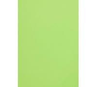 Netuno 10x papier couleur vert A4 210 x 297 mm 120g Malmero Bambou papier coloré pour invitations mariage projets créatifs cartes de vœux papier cartonné haute qualité papier de bricolage