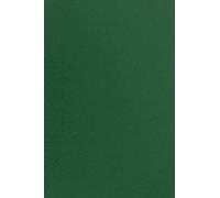 Netuno 10x papier vert foncé A4 210x297mm 170g Sirio Color Foglia papier cartonné coloré imprimable carton créatif de couleur pour bricolage mariage invitations cartes de vœux scrapbooking école