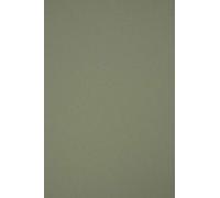 Netuno 10x Papier Vert Olive Materica Verdigris 120g A4 210x297mm Décoratif Éco Recyclé pour Bricolage, Scrapbooking, Origami, Cartes de Vœux, Quilling