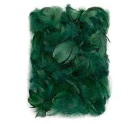 Netuno 150 plumes naturelles vert foncé 10g plumes décoratives d'oiseaux pour loisirs créatifs DIY bricolage décorations de fêtes attrape-rêves fabrication de masques