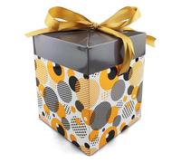 Netuno 1x boîte cadeau gris 12cmx12cmx15cm petite boîte-cadeau décorative avec couvercle et ruban coffret cadeau avec ruban carton cadeau coffret cadeau pour anniversaires fêtes mariage Noël souvenirs
