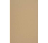 Netuno 20x carton brown A4 210 x 297 mm 285g Woodstock Noce papier naturel papier recyclé carton coloré imprimable pour bricolage brochures cartes d'invitation billets menus cartes de vouex