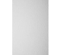 Netuno 20x Carton Gaufré Blanc A4 210x297mm 200g Prisma Bianco Structuré Des Deux Côtés Pour Bricolage, Déco, Marque-Places, Billets d'Entrée - Papier Texturé