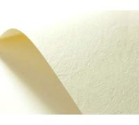 Netuno 20x carton gaufré ivoire effet cuir A4 210x 297 mm 246 g/m² carton texturé papier gaufré texturé pour cartes de vœux cartes de visite invitations baptême première communion mariage décorations