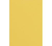 Netuno 20x papier couleur jaune A4 210 x 297 mm 120g Malmero Soleil papier coloré pour invitations mariage projets créatifs cartes de vœux papier cartonné haute qualité papier de bricolage