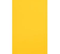 Netuno 20x papier couleur orange clair A4 210 x 297 mm 120g Malmero Mangue papier coloré pour invitations mariage projets créatifs cartes de vœux papier cartonné haute qualité papier de bricolage