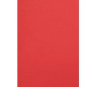 Netuno 20x papier couleur rouge A4 210 x 297 mm 120g Malmero Vermillon papier coloré pour invitations mariage projets créatifs cartes de vœux papier cartonné haute qualité papier de bricolage