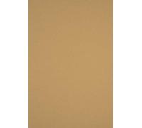 Netuno 20x papier marron clair A4 210x297mm 170g Sirio Color Bruno papier cartonné coloré imprimable carton créatif de couleur pour bricolage mariage invitations cartes de vœux scrapbooking école