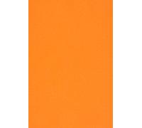 Netuno 20x papier orange A4 210x297mm 170g Sirio Color Arancio papier cartonné coloré imprimable carton créatif de couleur pour bricolage mariage invitations cartes de vœux scrapbooking Noël école