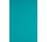 Netuno 20x papier turquoise A4 210x297mm 170g Sirio Color Turchese papier cartonné coloré imprimable carton créatif de couleur pour bricolage mariage invitations cartes de vœux scrapbooking Noël
