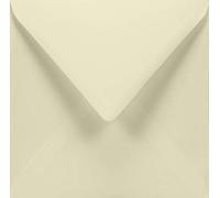 Netuno 25 enveloppes carrées ivoires 155 x 155 mm 120g Aster Smooth Ivory enveloppes élégantes de haute qualité pour cartes de vœux invitations mariage Baptême communion anniversaires