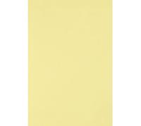 Netuno 25x carton de bricolage jaune clair A4 210x 297 mm 160g Circolor Camomile carton de couleur carton recyclé carton décoratif carton d'imprimerie papier de bureau pour brochures décoration DIY