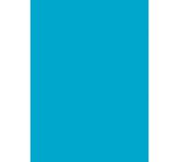 Netuno 25x papier cartonné bleu A4 210 x 297 mm 160g Aster Color Splash papier naturel élégant carton coloré imprimable pour scrapbooking bricolage brochures cartes de visite invitations