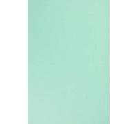 Netuno 25x papier cartonné bleu clair A4 210x297mm 210g Sirio Color Celeste papier épais de couleur pour anniversaire mariage invitations bricolage Noël cartes de vœux brochures cartes de menu