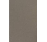 Netuno 25x papier cartonné gris A4 210x297mm 210g Sirio Color Pietra papier épais de couleur pour tickets anniversaire mariage invitations bricolage Noël cartes de vœux brochures cartes de menu