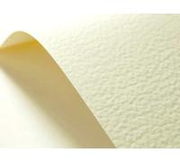 Netuno 400x carton gaufré ivoire marteau A4 210x 297 mm 246 g/m² carton texturé papier gaufré texturé pour cartes de visite invitations baptême première communion mariage décorations cartes de vœux