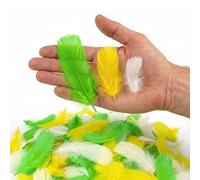 Netuno 450 plumes naturelles multicolores jaune blanc vert 30g plumes décoratives d'oiseaux pour loisirs créatifs DIY bricolage décorations de fêtes attrape-rêves fabrication de masques