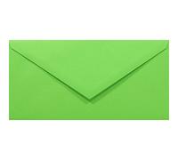 Netuno 50 enveloppes vertes DL 110 x 220 mm 80g Rainbow enveloppes longues colorées enveloppe couleur enveloppe faire-part pour lettres A4 mariage anniversaire documents invitations cartes de voeux