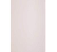 Netuno 50x carton décoratif rose pastel A4 210x297mm 300g Keaykolour Pastel Pink papier écologique pour cartes de voeux art et artisanat invitations décoration bricolage loisirs créatifs brochures DIY