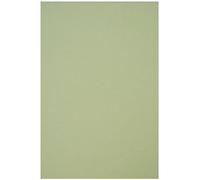 Netuno 50x carton vert clair A4 210 x 297 mm 250g Crush Kiwi papier cartonné écologique carton de bricolage papier éco imprimable pour brochures cartes d'invitation cartes de visite flyers mariage