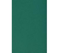 Netuno 50x carton vert foncé 250g papier décoratif A3 297x420mm Burano English Green idéal pour cartes de voeux scrapbooking bricolage invitations art et artisanat anniversaire DIY loisirs créatifs
