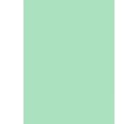 Netuno 50x papier cartonné vert clair A5 148 x 210 mm 160g Aster Color Jade papier naturel élégant carton coloré pour scrapbooking bricolage brochures cartes de visite invitations cartes de vœux
