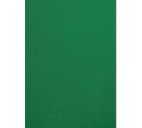 Netuno 50x papier couleur vert foncé A4 210 x 297 mm 120g Malmero Amazone papier coloré pour invitations mariage projets créatifs cartes de vœux papier cartonné haute qualité papier de bricolage