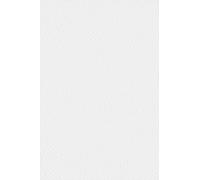 Netuno 50x papier gaufré blanc A4 210 x 297 mm 250g Tintoretto Gesso papier cartonné embossé carton structuré imprimable carton de bricolage à gaufrage pour invitations cartes de menu diplômes