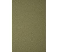 Netuno 50x papier gaufré vert foncé A4 210 x 297 mm 250g Tintoretto Wasabi papier cartonné embossé carton structuré imprimable carton de bricolage à gaufrage pour invitations cartes de menu diplômes