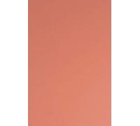 Netuno 50x Sirio Color Flamingo A4 210x297mm 115g Papier Coloré pour Mariage, Invitations, Bricolage, Cartes Postales, Vœux, Art, Artisanat et Origami