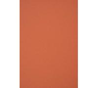 Netuno Lot de 100 feuilles de papier cartonné recyclé couleur Materica Terra Rossa Rouge Format A4 210 x 297 mm 120 g/m²