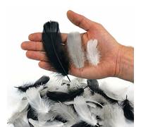 Netuno Lot de 450 plumes de duvet blanches, noires, grises, naturelles, pour bricolage, décoration de Pâques, Noël, figurines, carnaval