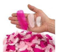 Netuno Lot de 450 plumes de duvet - Rose foncé - Rose blanc naturel - Pour bricolage, décoration de Pâques, Noël, figurines décoratives - Carnaval