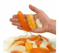 Netuno Lot de 450 plumes décoratives écru, jaune foncé, orange, 30 g, naturelles, pour bricolage, décoration, Pâques, Noël