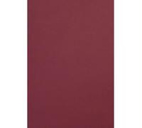 Netuno Lot de 50 feuilles de papier de couleur bordeaux - Format A4 - 21 x 29,7 cm - 120 g - Malmero Palissandre - Papier de bricolage coloré - Papier cartonné de qualité supérieure - Pour brochures