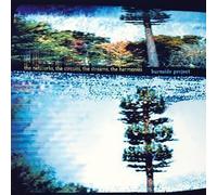 Networks Circuts Streams Harmonies by Burnside Project (2004-01-07)