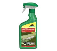 Neudorff Anti Cochenilles Élimine Œufs, Larves et Adultes 750ml | Prêt à L'emploi Action Choc | Insecticide Spruzit AF