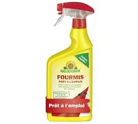 Neudorff Anti Fourmis Prêt à l'emploi - Spray pour Une Lutte Rapide et fiable Contre Les Fourmis, pour l'intérieur et l'extérieur, 750 ML
