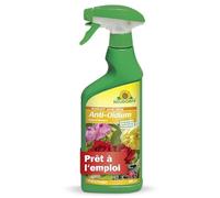 Neudorff Anti-oïdium Spécial rosiers - Spray prêt à l'emploi pour lutter contre l'oïdium, spécialement sur les rosiers, 500 ml