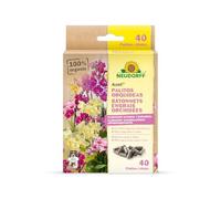 Neudorff Azet Bâtonnets Engrais Orchidées - Pour une floraison naturellement impressionnante, avec mycorhizes, effet longue durée jusqu’à 3 mois, 40 bâtonnets